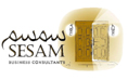 Sesam Business Consultants